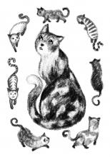 Voir le dessin d'ouverture du chapitre 7 en plus gros ! Les Aventures du chat Coton, chapitre 7