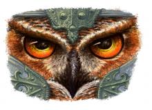 Hibou Flashy